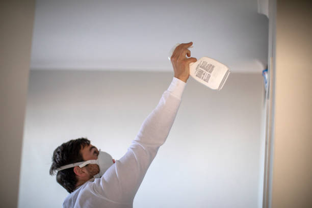 Office Mold Removal Services in Harvey, ND