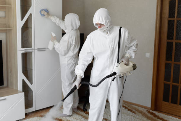 Best Residential Mold Removal  in Harvey, ND
